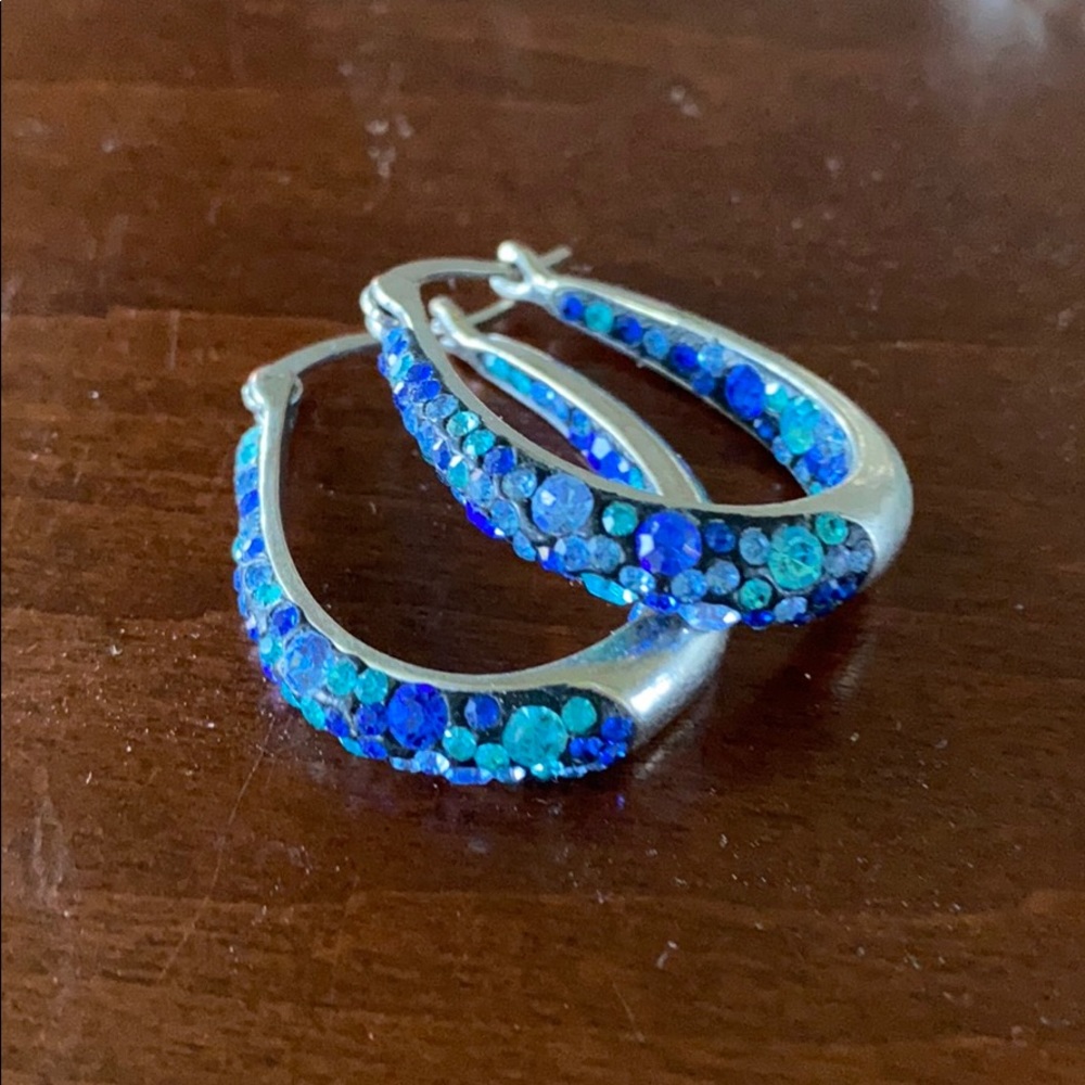 Blue earrings